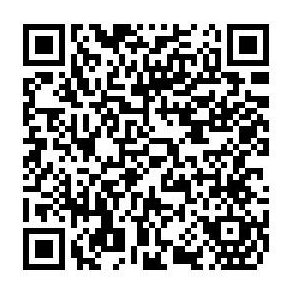 1747905320985002861.png 手机二维码.png