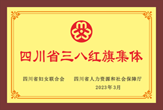 四川省三八红旗集体